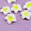 Кабошон Бело-желтый цветок оптом