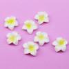 Кабошон Бело-желтый цветок оптом